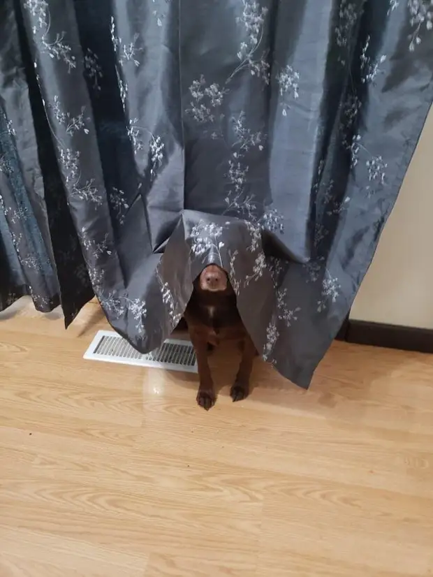 ?
