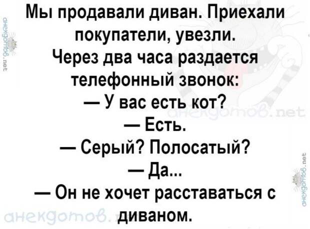 Анекдоты - лучшее от "анекдотовнет" Анекдоты - лучшее от "анекдотовнет"