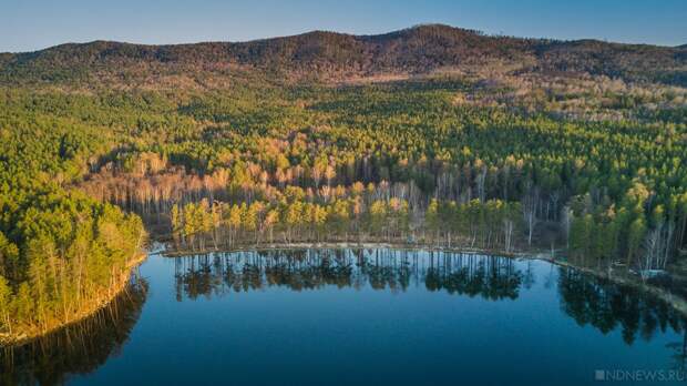 Незаконные охотничьи угодья и вырубка леса: Генпрокуратура нашла масштабные нарушения в заповедниках России