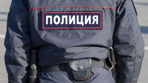 Подросток с саперной лопатой задержан на незаконной акции в Москве