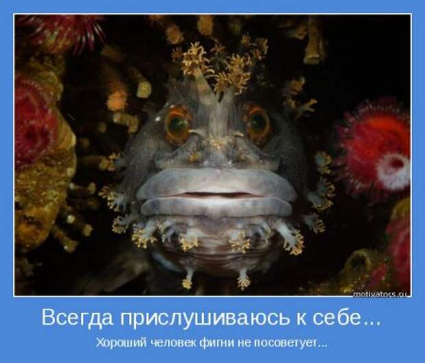 Мотиваторы новые. Улыбаемся и машем!