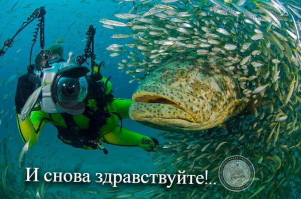 И снова здравствуйте