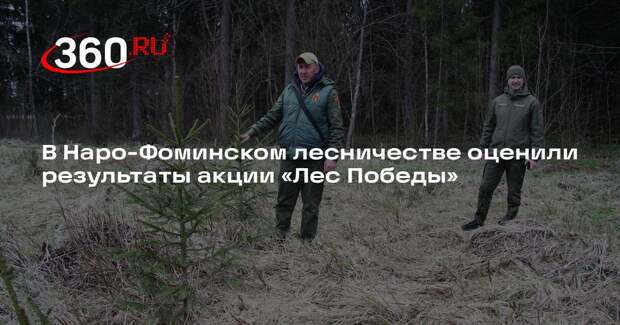 В Наро-Фоминском лесничестве оценили результаты акции «Лес Победы»