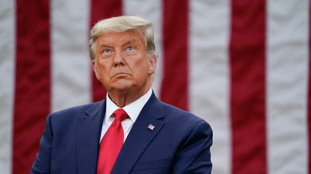 Трамп начнет рубить древо американской власти без всякой жалости