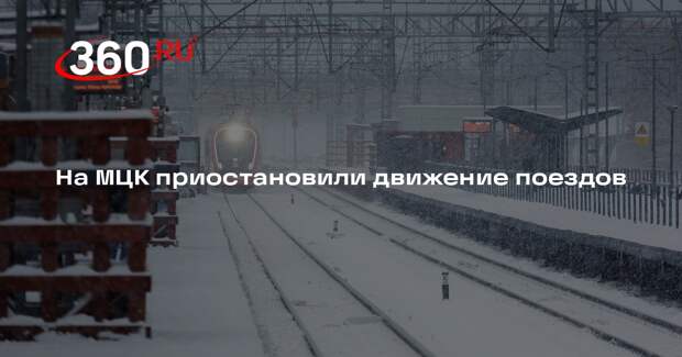 На МЦК приостановили движение поездов