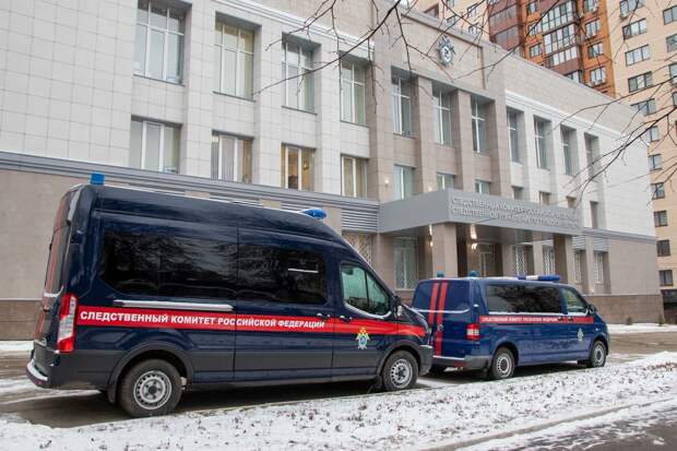 В Новомосковске женщина подговорила 12-летнего подростка украсть товары из ПВЗ маркетплейса