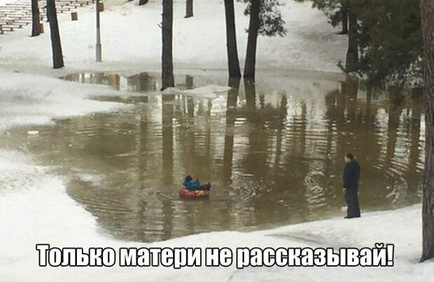 Смешные картинки с надписям весёлое, смешное, смешные картинки, юмор