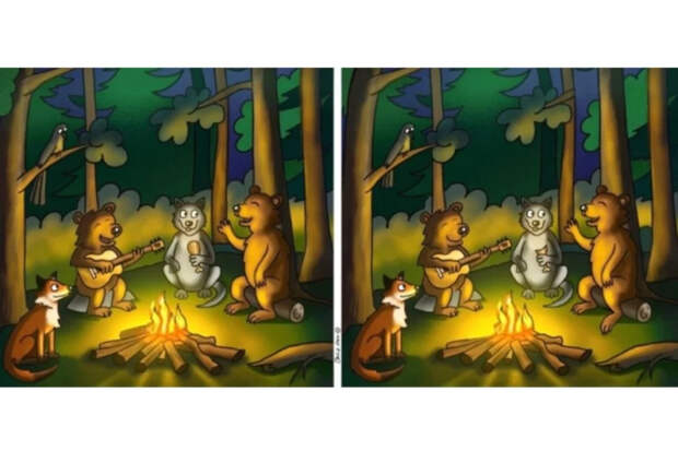 10 отличий за 50 секунд: проверьте свою внимательность