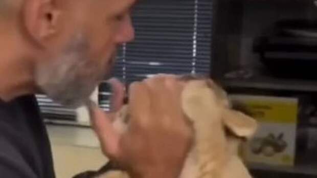 В Сети нашли еще одного блогера, который держит львенка в элитном ЖК в Подмосковье