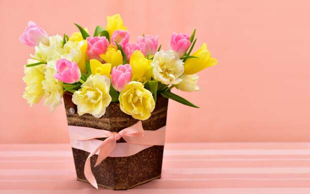 tulips-spring-flowers-vesna