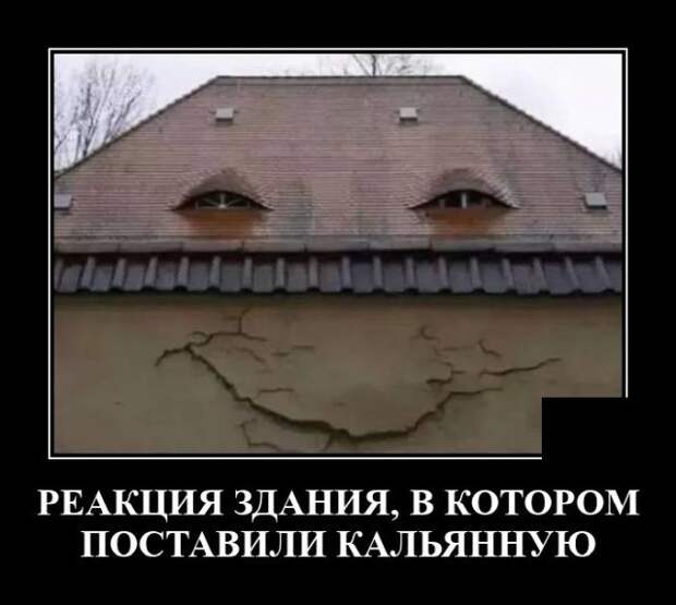 demotivatory-demotivator-smeshnye-demotivatory-demotivator-so-smyslom