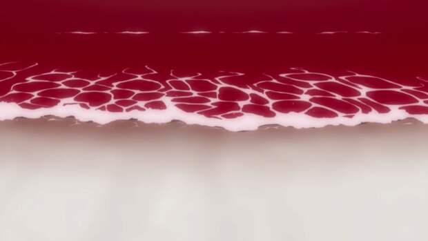 Как я встретил вашу маму: культовое аниме «Евангелион» отмечает 30-летие Как я встретил вашу маму: культовое аниме «Евангелион» отмечает 30-летие