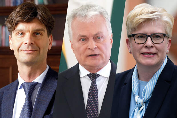 В Литве 12 мая пройдут президентские выборы выборы и референдум о гражданстве