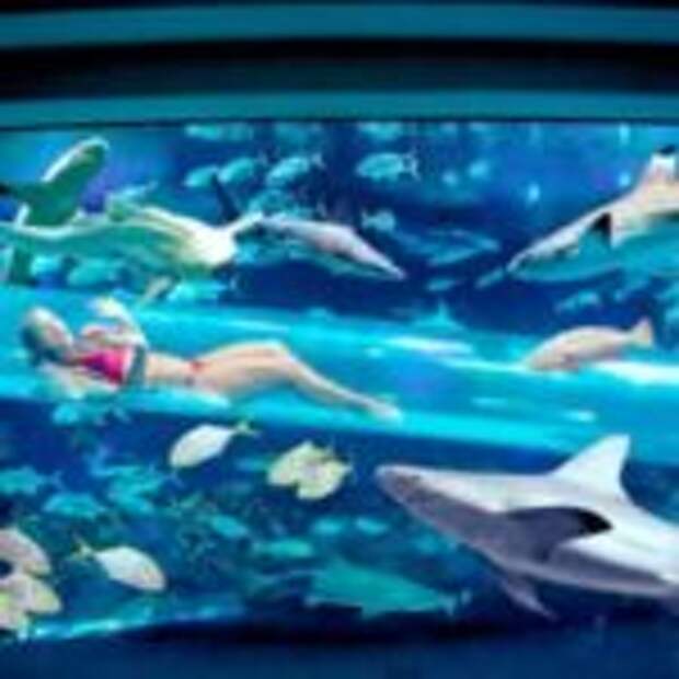 Отель «Золотой самородок» с водной горкой в аквариуме с акулами, Лас-Вегас, США