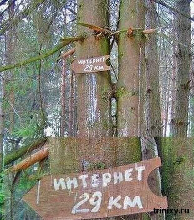 День Интернета в России. Подборка прикольных картинок (67 картинок)