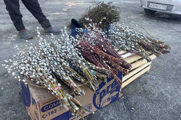 Вербой по 300 рублей начали торговать на улицах Новосибирска перед праздником