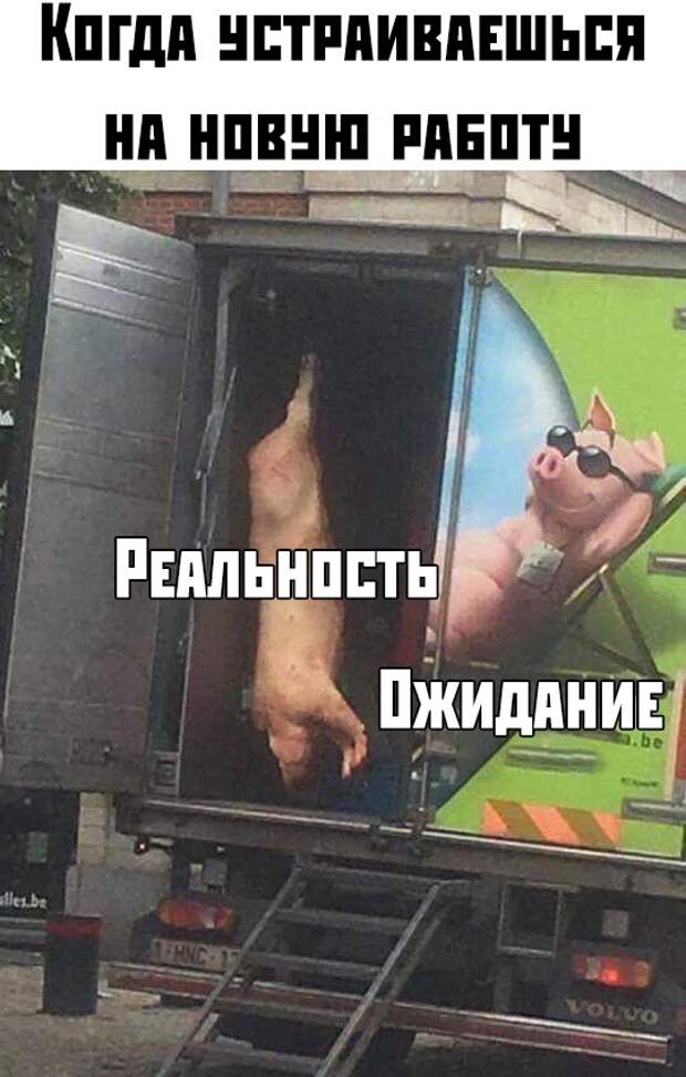 Подборка прикольных картинок