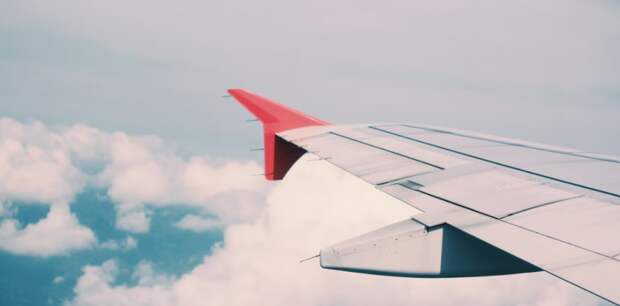 17 рейсов отменили и 20 рейсов задержали в московских аэропортах из-за непогоды