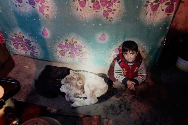 В холод новорожденных ягнят и козлят берут в жилье, чтобы не замерзли жизнь простых людей, миграция, таджикистан