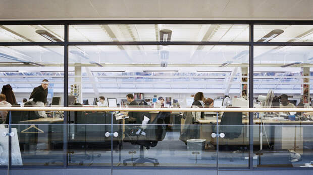 Экономист Попкова: рынку труда требуются специалисты среднего звена