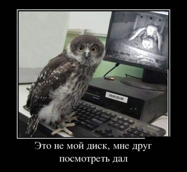Демотиваторы (30 фото)