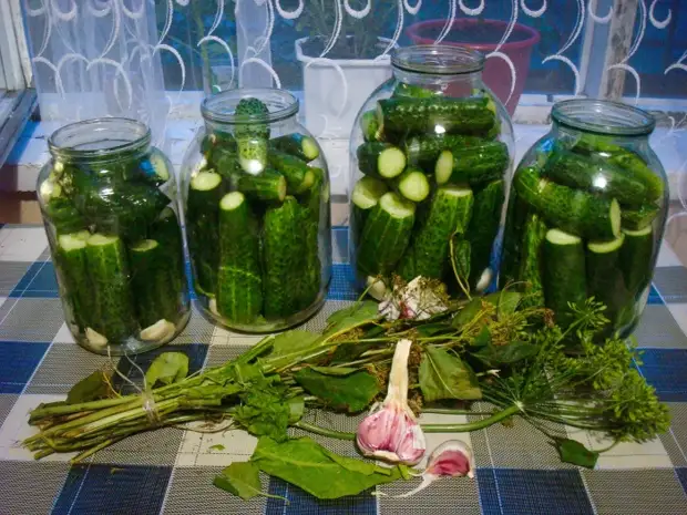 С чесноком следует быть аккуратным - в большом количестве он делает огурцы мягкими / Фото: elena-flame.livejournal.com С чесноком следует быть аккуратным - в большом количестве он делает огурцы мягкими / Фото: elena-flame.livejournal.com