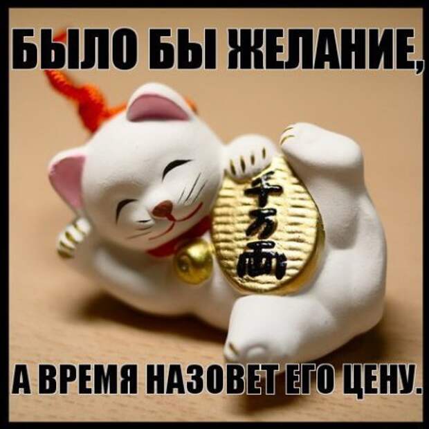 Интересные фразы с картинками о жизни и с юмором.