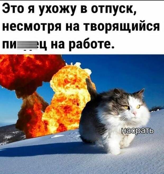 Свежие мемы понедельника (15 шт)