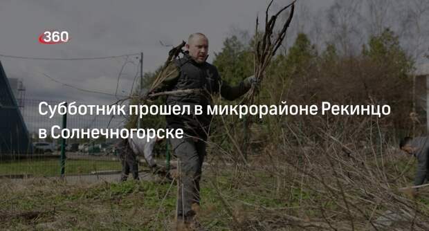 Субботник прошел в микрорайоне Рекинцо в Солнечногорске