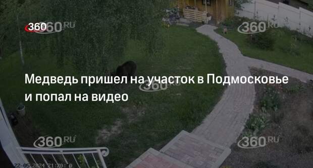 Источник 360.ru: в Дмитровском округе медведь пришел на участок частного дома