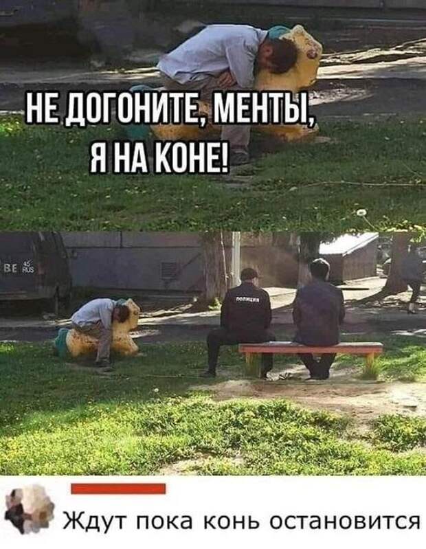 Новые мемы на сегодня