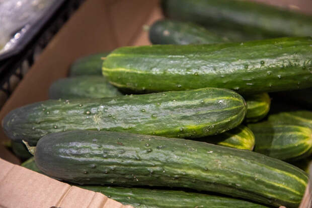 Огурцы в Тульской области стоят больше курицы и рыбы, вдвое дороже бананов
