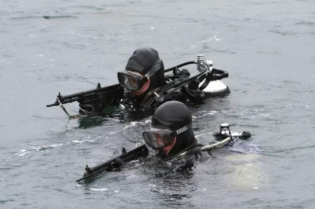 В ВМФ появятся мобильные подразделения боевых пловцов