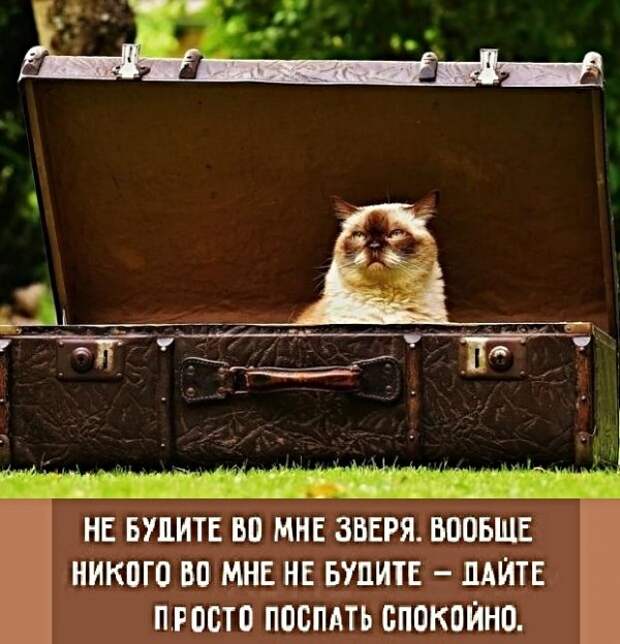 Анекдоты, истории и картинки с надписями