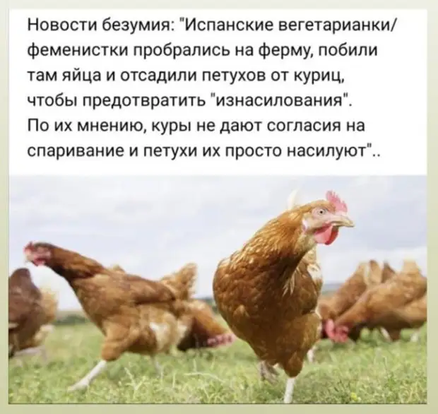 К психотерапевту идти уже поздно, к психиатру - страшно... Причём за него-то и страшно... К психотерапевту идти уже поздно, к психиатру - страшно... Причём за него-то и страшно... чтобы, четверть, спрашивает, Когда, классе, говорить, скажет, застукал, допроса, плохо, заплела, завтрак, приготовила, обручальное, постель, заправила, разбудила, детей, умыла, одела