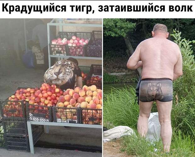 картинки прикольные смешные (19)