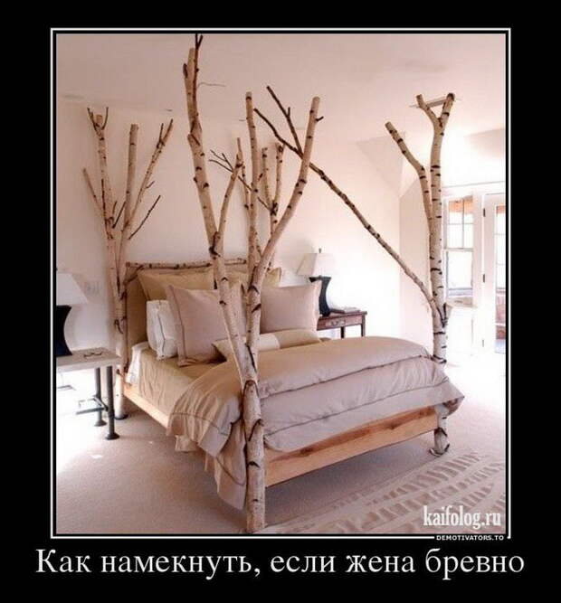 Демотиваторы - 151 (70 фото)