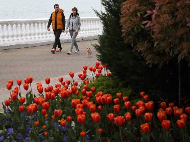 Россиян предупредили о неприятном парадоксе майских праздников