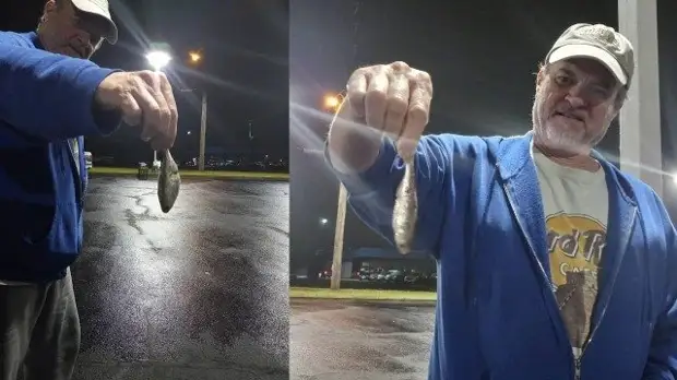 Странное явление: в Техасе пошел дождь из рыбы
