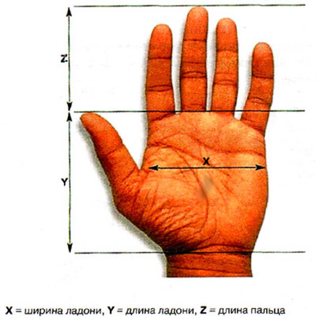 34830289_info_t_80_hirotypemeter (400x405, 39Kb)