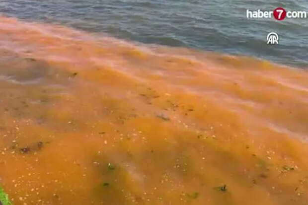Haber 7: Мраморное море в Турции покрылось толстым слоем коричневой слизи