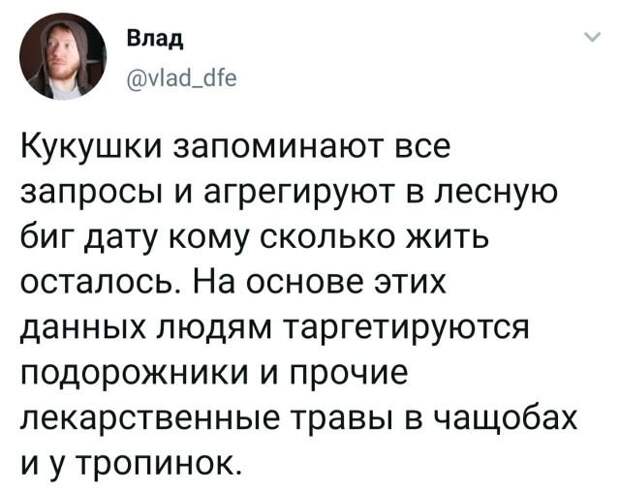 твит про кукушку