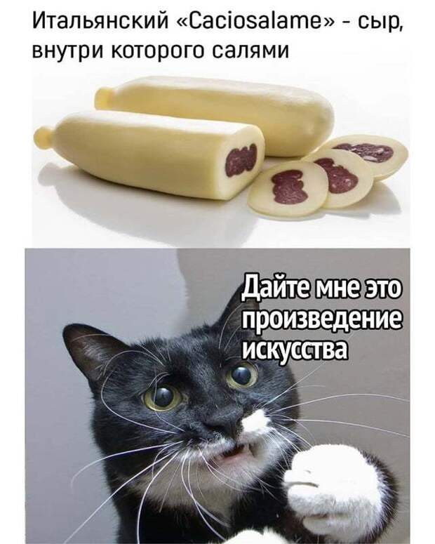 Сыр, который мы заслужили Сыр, который мы заслужили