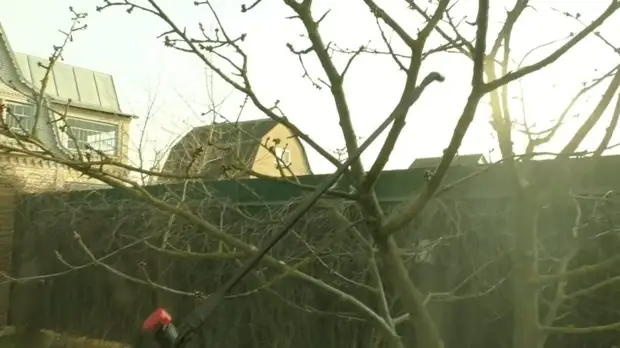 Что не стоит желать весной на даче, потому что это бесполезно