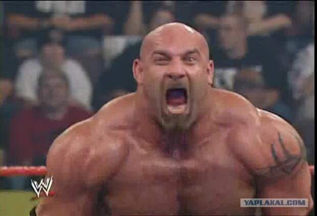 goldberg-3