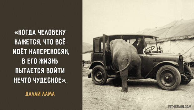 20 уроков жизни Далай-Ламы