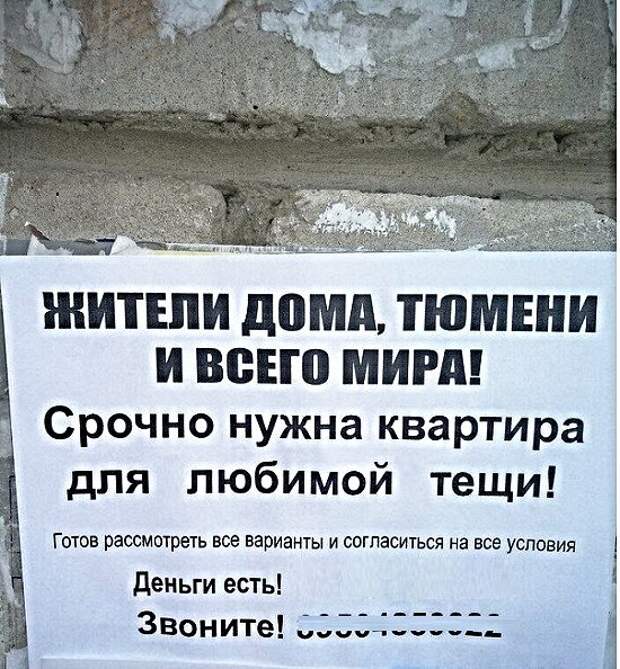 Анекдоты, истории и картинки с надписями