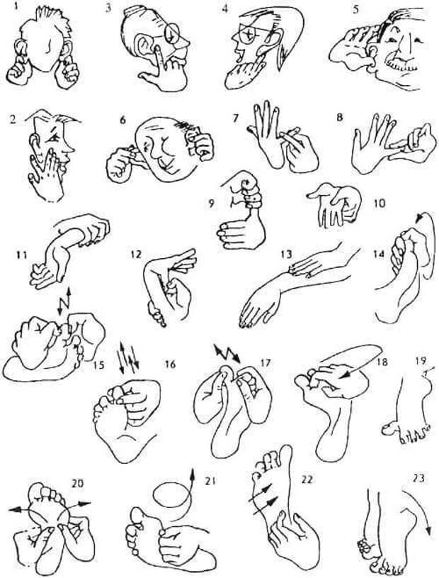 Пальцы рук и мозг. Пальчиковые упражнения для стимуляции мозга для детей. Упражнения для развития пальцев рук. Пальцевый массаж для детей. Упражнения пальцами для развития мозга детей.