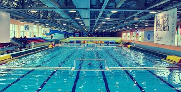 интересное, планета, жизнь, животные, люди, факты