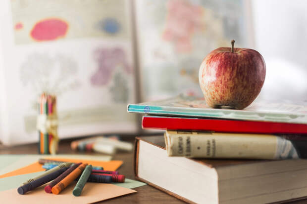 Антон Низовцев: "Я как учитель, работающий в школе уже 10 лет, не вижу плюсов семейного обучения"